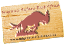 Migrants Safaris East Afica