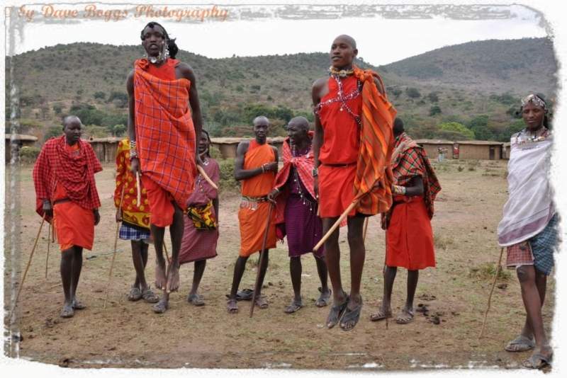 Maasai Safari