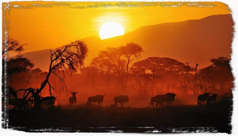 Kenya Tented Luxury Safari
